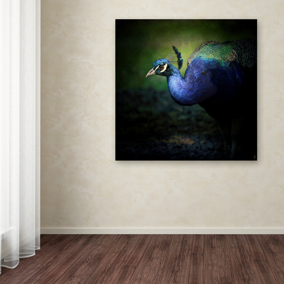 Jai Johnson 'Peacock 1' Canvas Art, 24 x 24