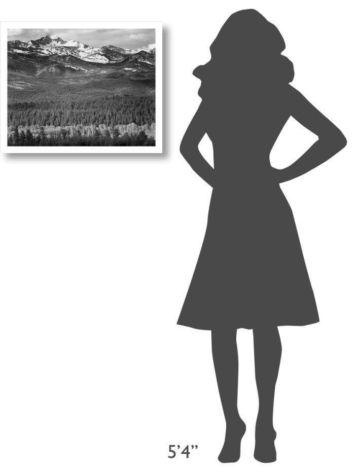 "Long's Peak from Road, Rocky Mountain National Park, 1941" Paper Art, 24"x19"