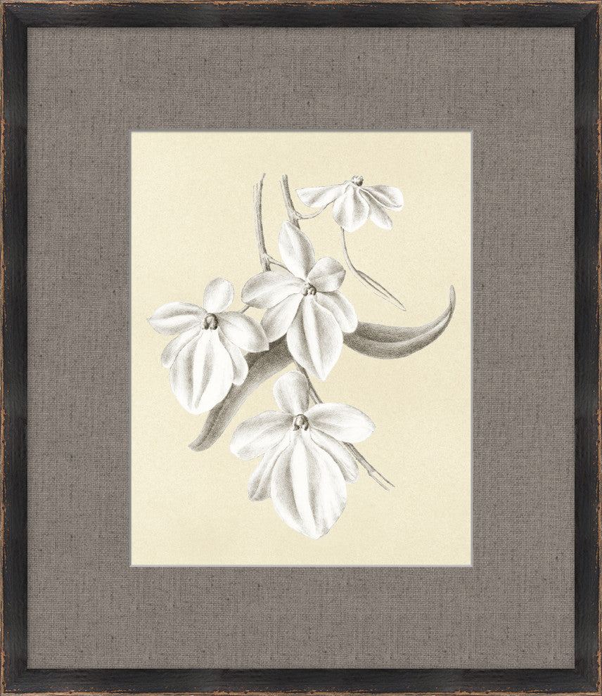 Moons Matisse, Giclee Reproduction Artwork