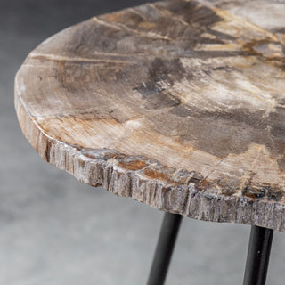 Uttermost Mircea Petrified Wood Accent table