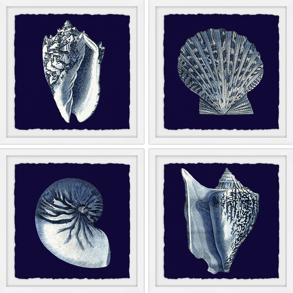 "All About Shells Quadriptych" Framed Painting Prints, 36"x36", 4-Piece Set