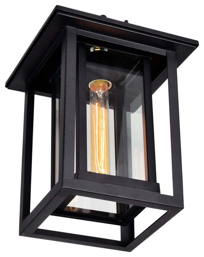 Winfield 1 Light Black Outdoor Hanging Light