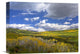 "Gunnison National Forest In Fall, Colorado" Artwork, 16" x 12"