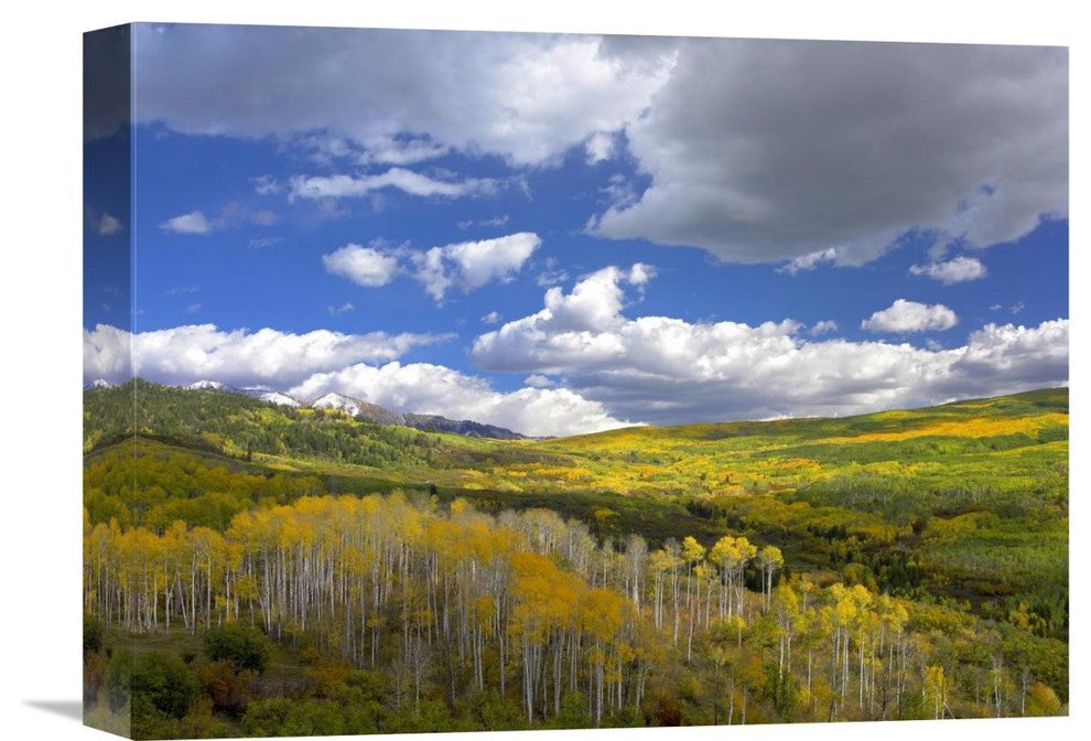 "Gunnison National Forest In Fall, Colorado" Artwork, 16" x 12"