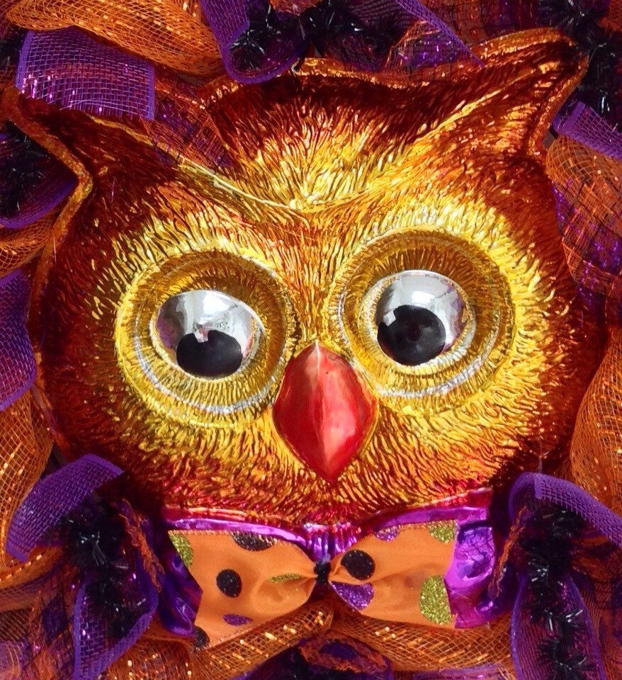 Adorable Halloween Owl with Moving Eyes Handmade Deco Mesh Wreath
