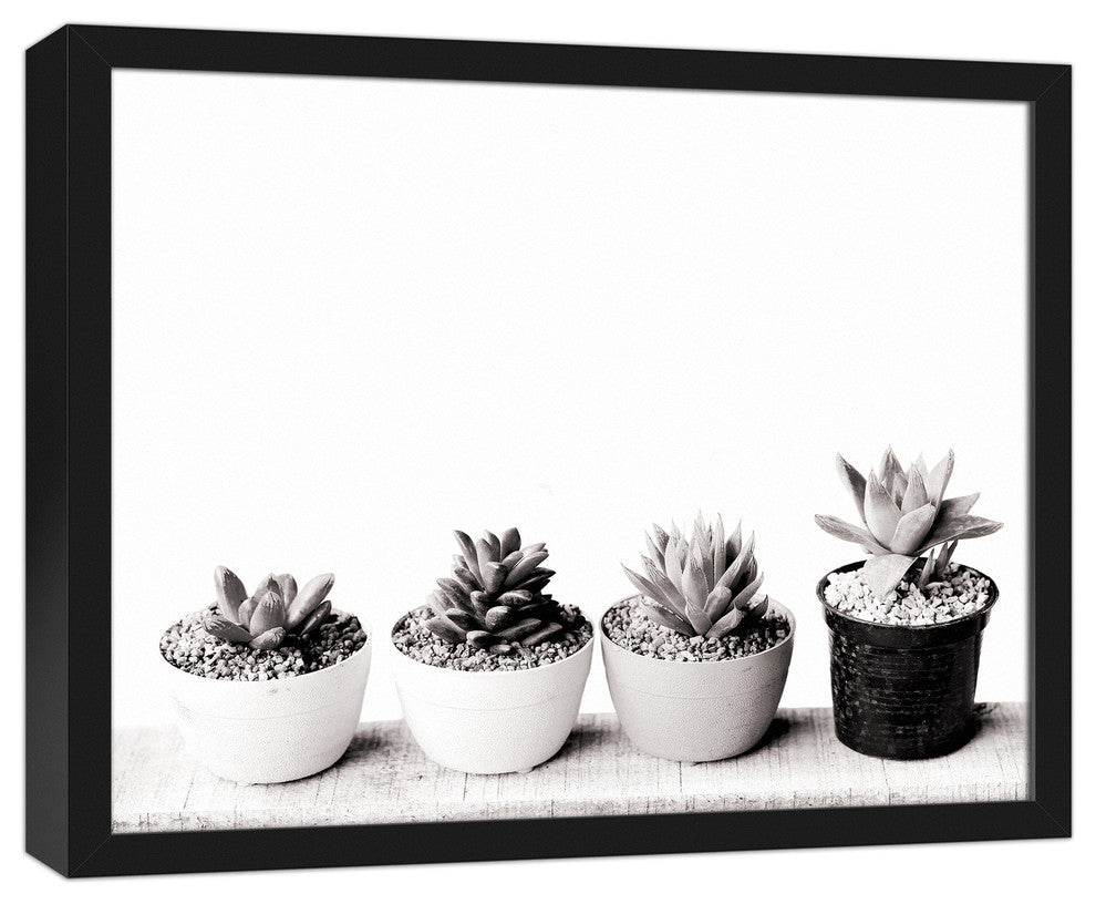 Black and White Succulents 16x20 Black Framed Canvas