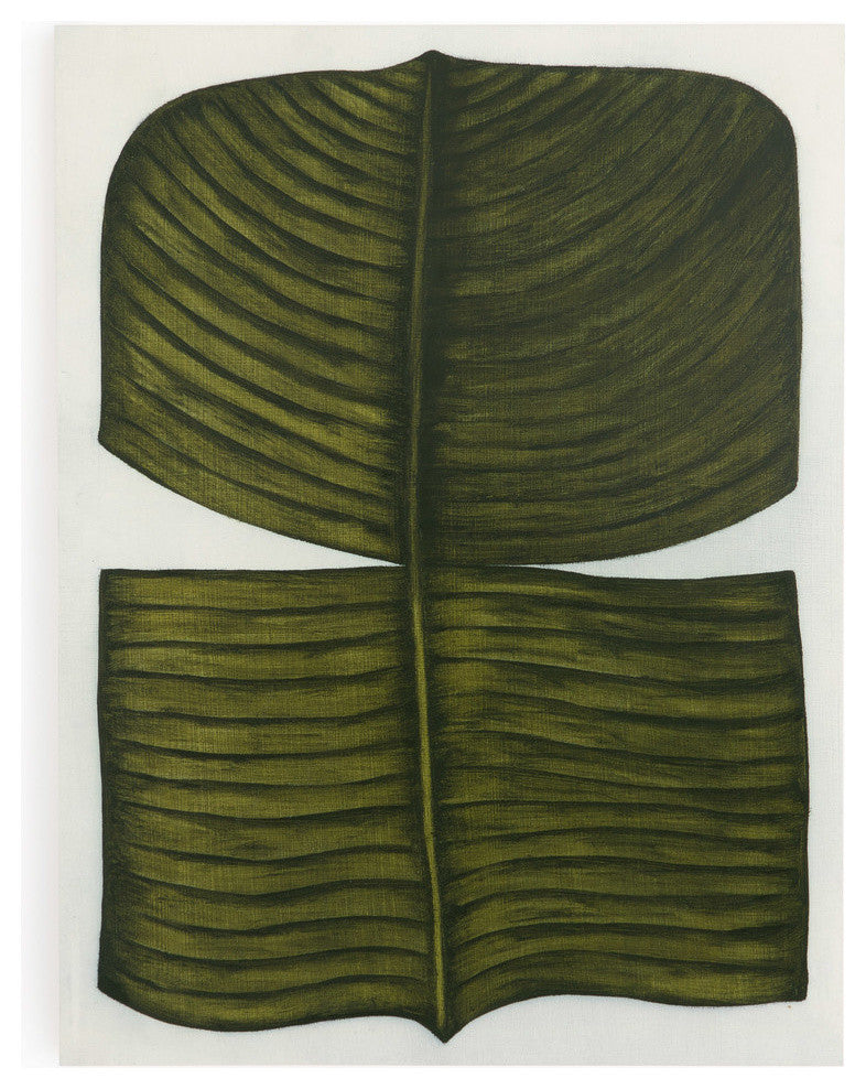 Ficus Elastica By Marianne Hendriks