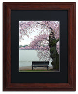 CATeyes 'Tranquility' Matted Framed Art, 11x14