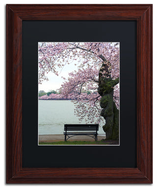 CATeyes 'Tranquility' Matted Framed Art, 11x14