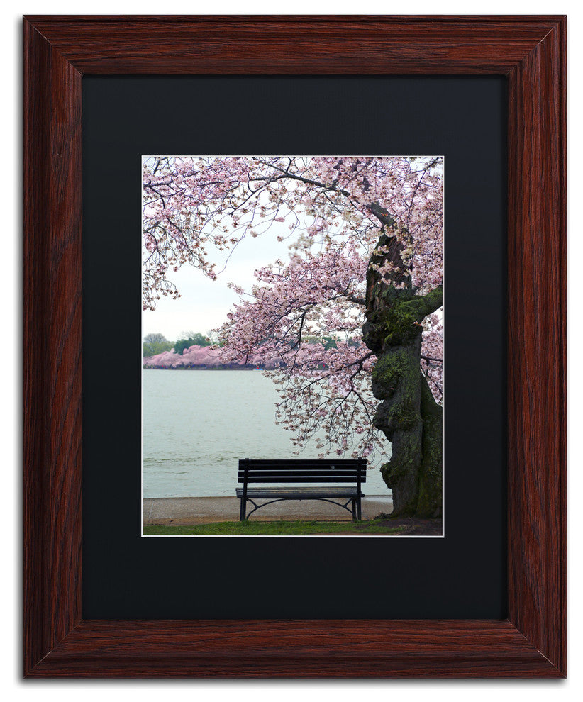 CATeyes 'Tranquility' Matted Framed Art, 11x14