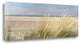 "Island Sand Dunes" By Alan Blaustein, Giclee Print on Gallery Wrap Canvas