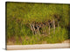 "Twisted Palms" Wrapped Canvas Art Print, 24"x16"x1.5"