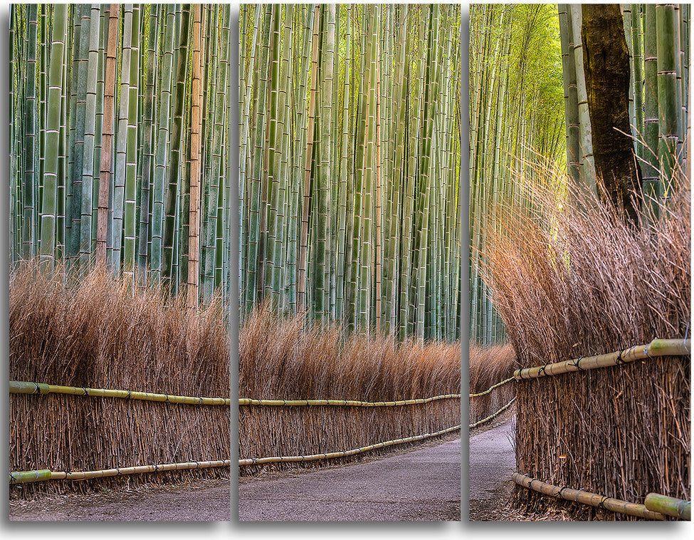 "Pathway Inside Bamboo Forest" Forest Metal Wall Art, 3 Panels, 36"x28"