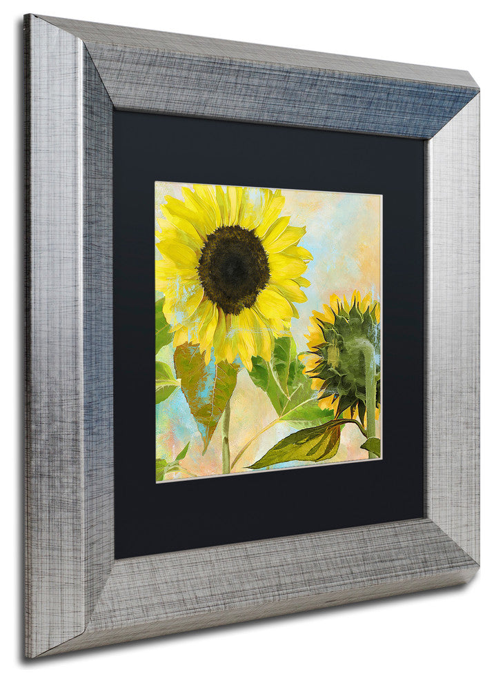 Color Bakery 'Soleil I' Matted Framed Art, Silver Frame, Black Mat, 11x11