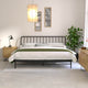 Kairosis Curved Metal Modern King Bed Frame, Black