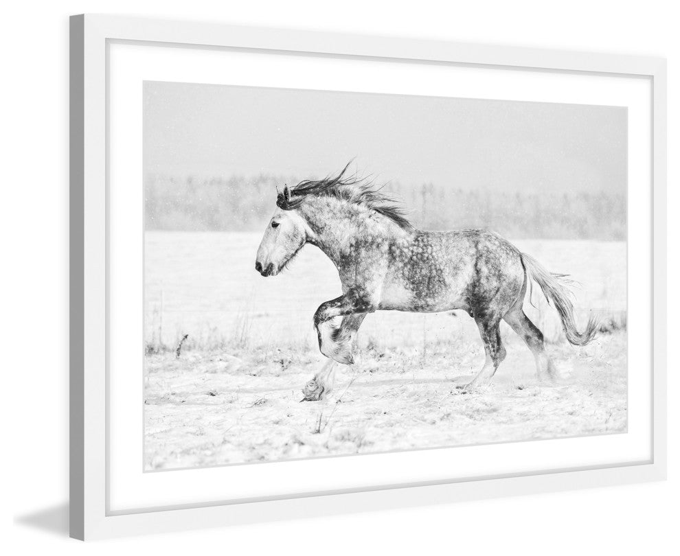 Marmont Hill, "Galloping Joy" Framed Painting Print