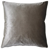 Pillow Decor - Corona Velvet Throw Pillow, Silver, 16"x16"