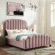 Inspired Home Zaida Bed, Velvet Upholstered, Pink, Queen