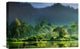 "Painting Of Nature" Stretched Canvas Giclee by Hardibudi, 22x15"