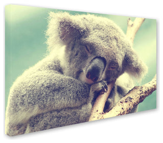 'Sleepy Head' Canvas Art by Beata Czyzowska Young