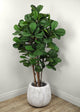 Faux Botanical Fiddle Leaf Fig Tree in Green 76"H