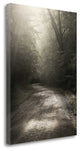 "Back Country Road" By Nicholas Bell, Giclee Print on Gallery Wrap Canvas