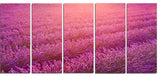 Lavender Field and Ray of Light, Floral Canvas Art Print, 60"x28", 5 Panels