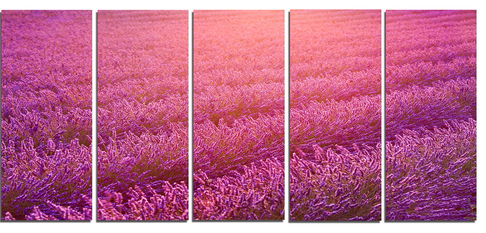 Lavender Field and Ray of Light, Floral Canvas Art Print, 60"x28", 5 Panels