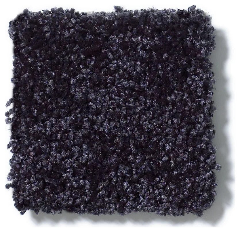 Kids Crazy Carpet Home & School Area Rugs, People Pet Friendly, Tuxedo, 4'x12'