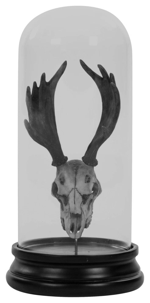 Deer Skull Statue With Cover