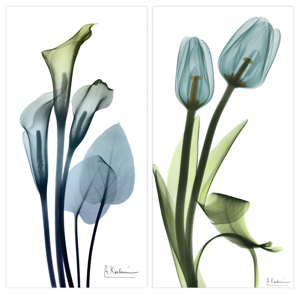 Lily and Blue Tulips Frameless Free Floating Tempered Glass Graphic Wall Art Set