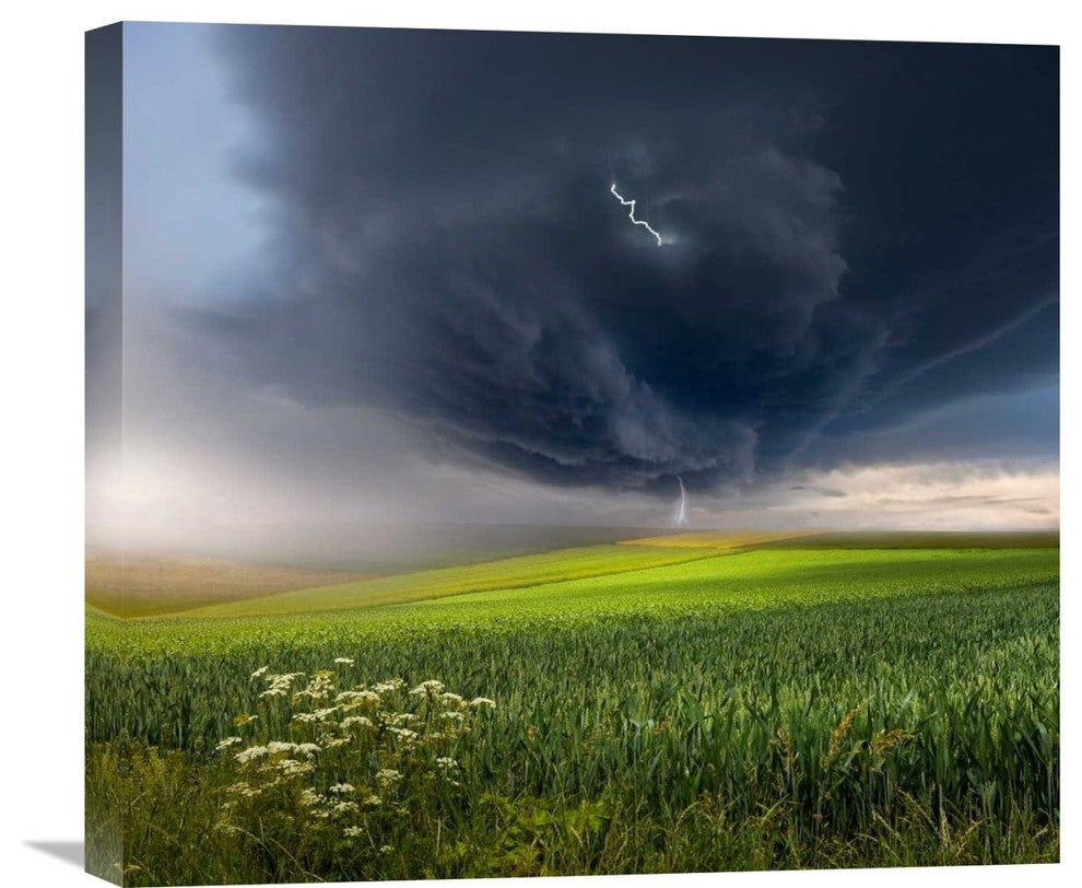 "June Storm" Stretched Canvas Giclee by Franz Schumacher, 22"x20"