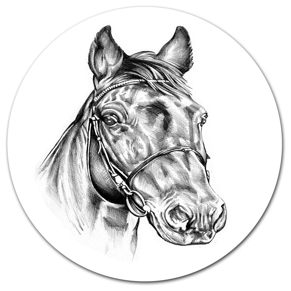 Freehand Horse Head Pencil Drawing, Modern Animal Round Wall Art, 11"