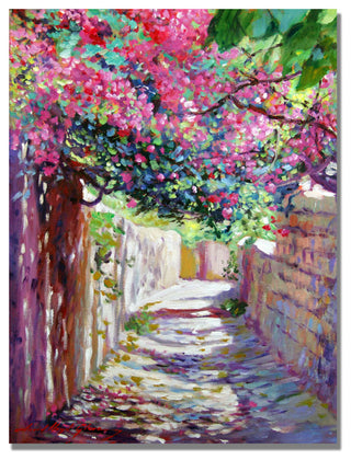 'Shady Lane Greece' Canvas Art by David Lloyd Glover