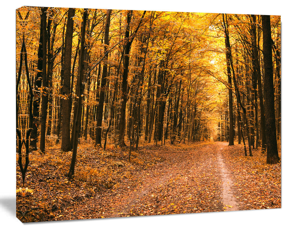 Pathway in Yellow Autumn Forest, Forest Canvas Art Print, 60"x28"