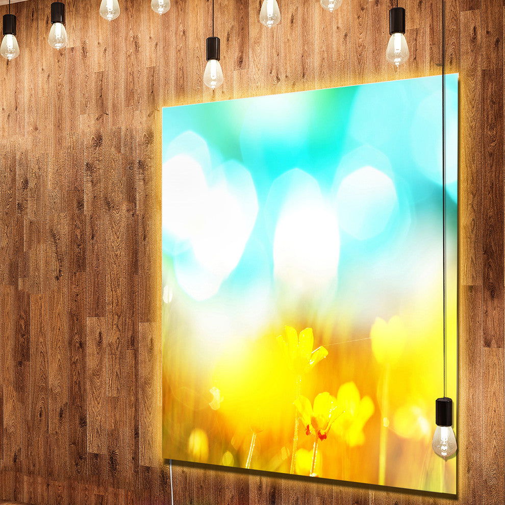 Yellow Flowers on Blue Background, LED Metal Art, 40x48, 1 Panel