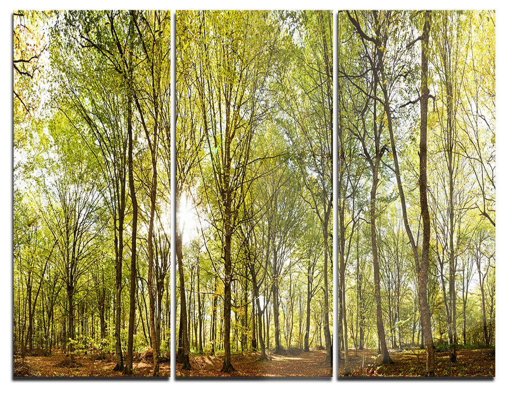 "Green Forest Panoramic View" Photo Metal Wall Art, 3 Panels, 36"x28"