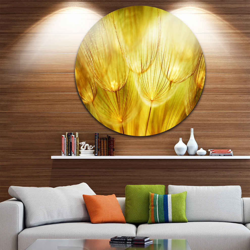Soft Yellow Dandelion Flowers, Floral Photography Round Wall Art, 11"