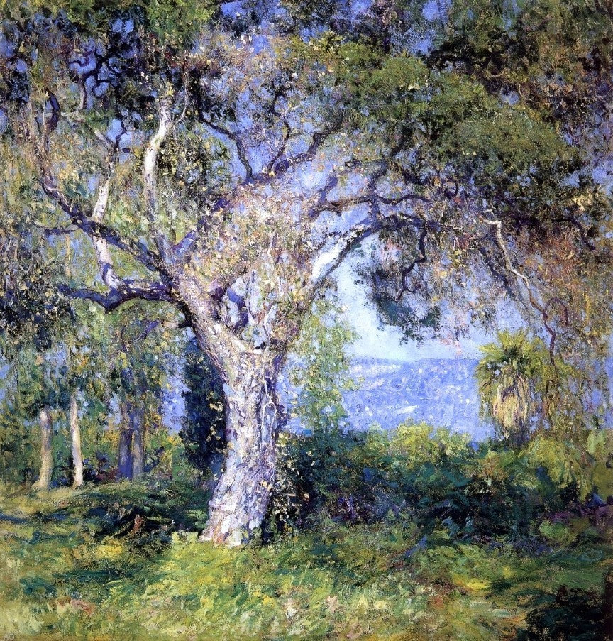 Guy Orlando Rose the Oak Premium Canvas Print