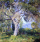 Guy Orlando Rose the Oak Premium Canvas Print