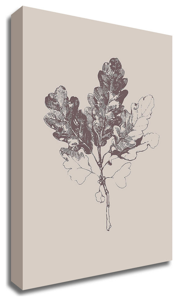 Botanica 3 by Design Fabrikken, Print on Canvas, 20"x28"