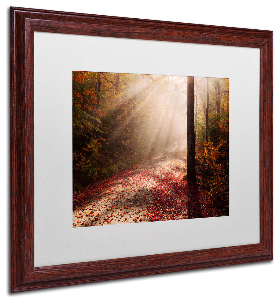Michael Blanchette Photography 'Light in the Forest' Matted Framed Art, 20x16