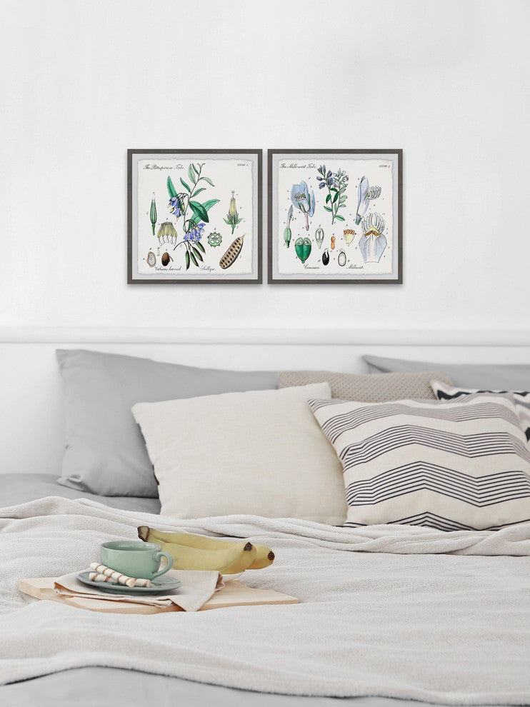 "We Are Bellflowers Diptych" Framed Prints, 18"x18", 2-Piece Set