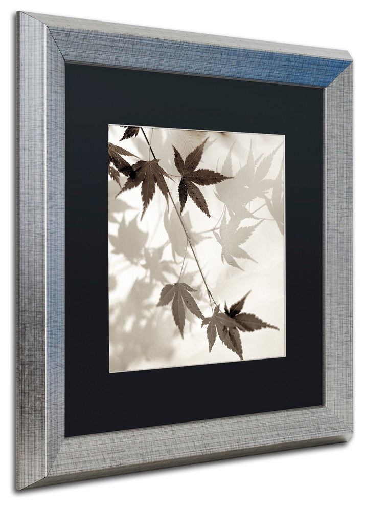 Alan Blaustein 'Florison 63' Art, Silver Frame, Black Mat, 16x16