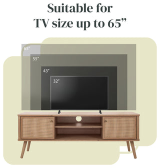 Thelma KD 59.5" Rattan TV Stand