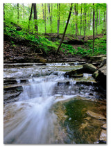 'Valley Stream' Canvas Art by Kurt Shaffer