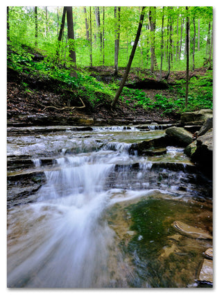 'Valley Stream' Canvas Art by Kurt Shaffer