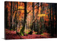 "The Colors of the Woods" Wrapped Canvas Art Print, 24"x16"x1.5"