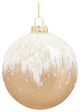 Glass Ornament, 6-Piece Set