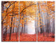 "Beautiful Trees With Fallen Leaves" Photo Metal Wall Art, 3 Panels, 36"x28"